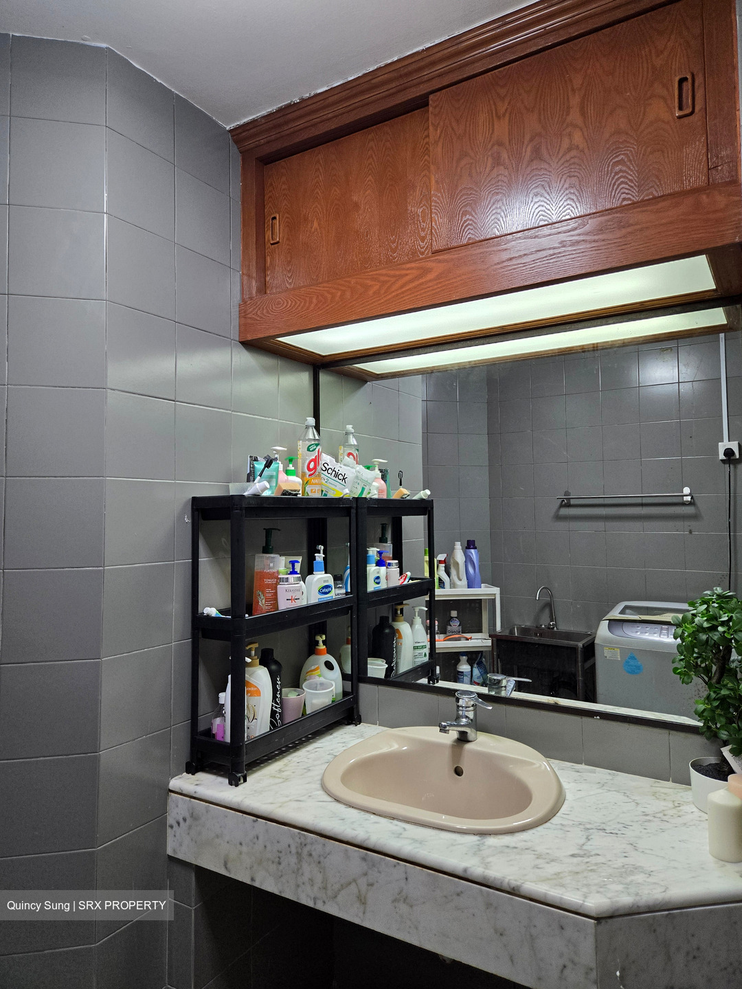 Rivershire (D9), Apartment #439486051